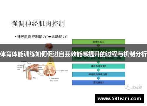 体育体能训练如何促进自我效能感提升的过程与机制分析